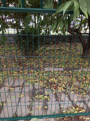 果園圍欄網(wǎng) 守護豐收的專屬衛(wèi)士